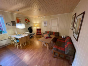 Kjerkgata 6 - midt i Røros sentrum